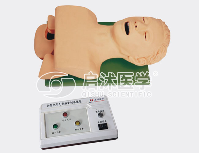 电子人体气管插管训练模型