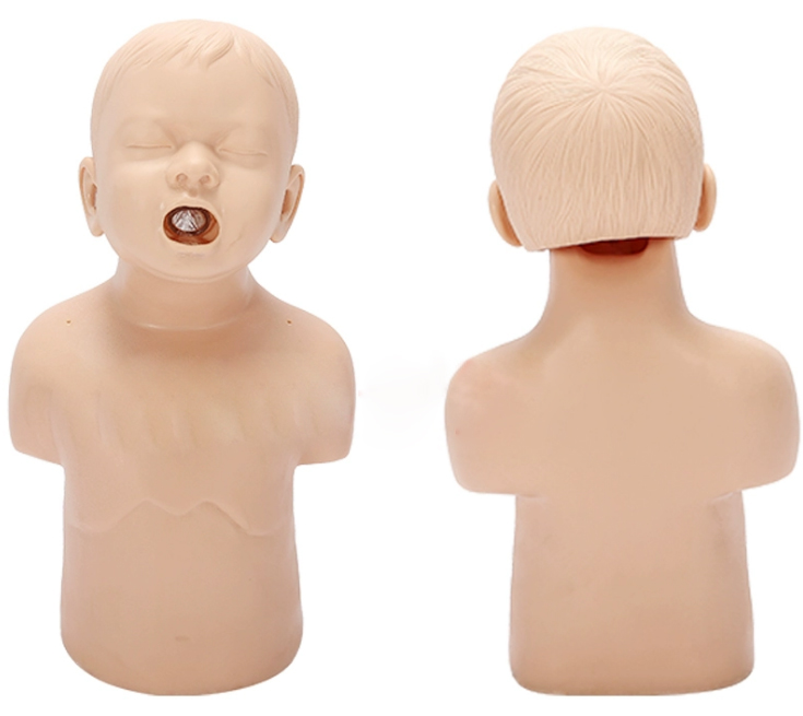 幼儿梗塞模型