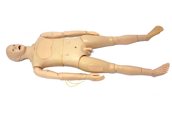 高仿真全身消毒铺巾模型